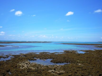 imagem foto praia carneiros tamandare recife pernambuco